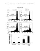 Cancer Therapy with a Parvovirus Combined with an HDAC Inhibitor diagram and image