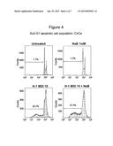 Cancer Therapy with a Parvovirus Combined with an HDAC Inhibitor diagram and image