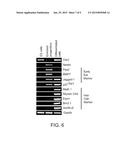 Use of Stem Cells to Generate Inner Ear Cells diagram and image