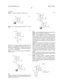 METHODS AND COMPOSITIONS FOR TARGETING AGENTS INTO AND ACROSS THE     BLOOD-BRAIN BARRIER diagram and image