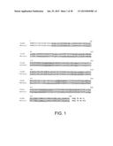 Lysosomal  Storage Disease Enzyme diagram and image