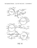 Lysosomal  Storage Disease Enzyme diagram and image