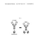 ANTI-EGFR ANTIBODY AND ANTI-C-MET/ANTI-EGFR BISPECIFIC ANTIBODIES     COMPRISING THE SAME diagram and image