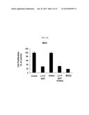 ANTI-EGFR ANTIBODY AND ANTI-C-MET/ANTI-EGFR BISPECIFIC ANTIBODIES     COMPRISING THE SAME diagram and image