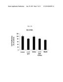 ANTI-EGFR ANTIBODY AND ANTI-C-MET/ANTI-EGFR BISPECIFIC ANTIBODIES     COMPRISING THE SAME diagram and image