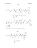 NOVEL BINDER-DRUG CONJUGATES (ADCS) AND USE THEREOF diagram and image