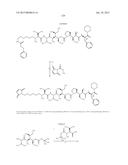 NOVEL BINDER-DRUG CONJUGATES (ADCS) AND USE THEREOF diagram and image