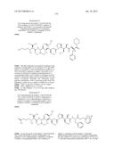 NOVEL BINDER-DRUG CONJUGATES (ADCS) AND USE THEREOF diagram and image