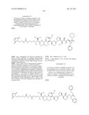 NOVEL BINDER-DRUG CONJUGATES (ADCS) AND USE THEREOF diagram and image