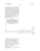 NOVEL BINDER-DRUG CONJUGATES (ADCS) AND USE THEREOF diagram and image