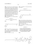 NOVEL BINDER-DRUG CONJUGATES (ADCS) AND USE THEREOF diagram and image