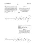 NOVEL BINDER-DRUG CONJUGATES (ADCS) AND USE THEREOF diagram and image