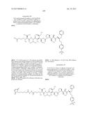 NOVEL BINDER-DRUG CONJUGATES (ADCS) AND USE THEREOF diagram and image