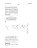 NOVEL BINDER-DRUG CONJUGATES (ADCS) AND USE THEREOF diagram and image