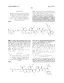 NOVEL BINDER-DRUG CONJUGATES (ADCS) AND USE THEREOF diagram and image