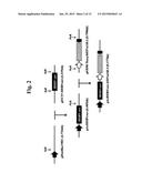 BACULOVIRUS-BASED VACCINES diagram and image