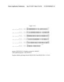 Recombinant Feline Leukemia Virus Vaccine Containing Optimized Feline     Leukemia Virus Envelope Gene diagram and image