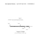 Recombinant Feline Leukemia Virus Vaccine Containing Optimized Feline     Leukemia Virus Envelope Gene diagram and image