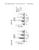 COMPUTATIONALLY OPTIMIZED BROADLY REACTIVE ANTIGENS FOR INFLUENZA diagram and image