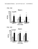 COMPUTATIONALLY OPTIMIZED BROADLY REACTIVE ANTIGENS FOR INFLUENZA diagram and image