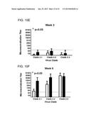 COMPUTATIONALLY OPTIMIZED BROADLY REACTIVE ANTIGENS FOR INFLUENZA diagram and image