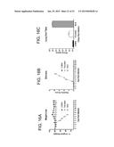 COMPUTATIONALLY OPTIMIZED BROADLY REACTIVE ANTIGENS FOR INFLUENZA diagram and image