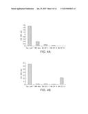 APPLICATION OF MRNA FOR USE AS A THERAPEUTIC AGAINST TUMOUR DISEASES diagram and image