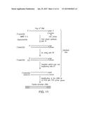 APPLICATION OF MRNA FOR USE AS A THERAPEUTIC AGAINST TUMOUR DISEASES diagram and image