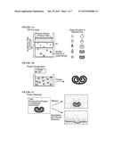 SELF-ASSEMBLED TOROIDAL-SPIRAL PARTICLES AND MANUFACTURE AND USES THEREOF diagram and image