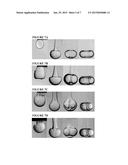 SELF-ASSEMBLED TOROIDAL-SPIRAL PARTICLES AND MANUFACTURE AND USES THEREOF diagram and image