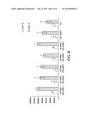 HONEY AND GROWTH FACTOR ELUTING SCAFFOLD FOR WOUND HEALING AND TISSUE     ENGINEERING diagram and image