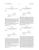 PYRIDAZINONE COMPOUNDS AND THEIR USE AS DAAO INHIBITORS diagram and image