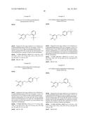 PYRIDAZINONE COMPOUNDS AND THEIR USE AS DAAO INHIBITORS diagram and image