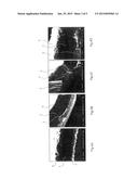 FUEL CELL CATALYST LAYER HAVING SULFONATED POLY(ARYLENE ETHER)S AND     MANUFACTURING METHOD THEREOF diagram and image