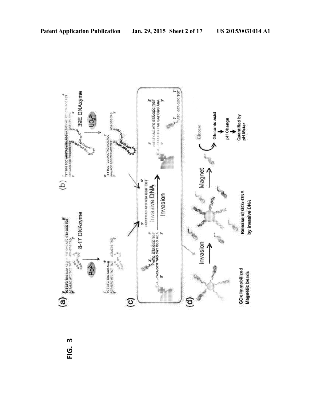 DETECTING ANALYTES WITH A PH METER - diagram, schematic, and image 03