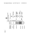 DETECTING ANALYTES WITH A PH METER diagram and image