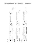 DETECTING ANALYTES WITH A PH METER diagram and image