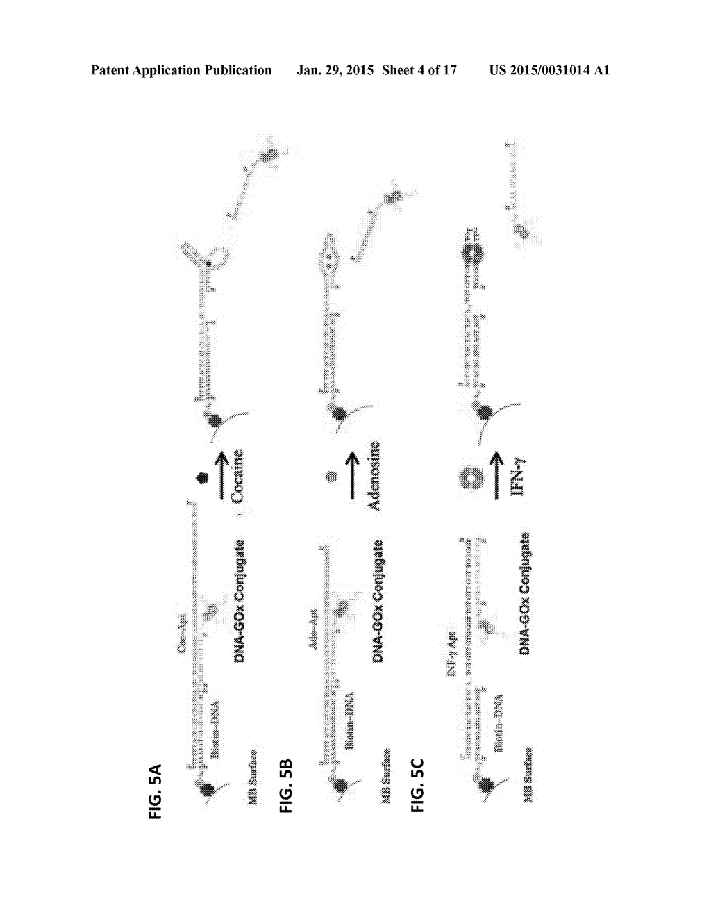 DETECTING ANALYTES WITH A PH METER - diagram, schematic, and image 05