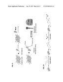 DETECTING ANALYTES WITH A PH METER diagram and image