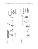 DETECTING ANALYTES WITH A PH METER diagram and image