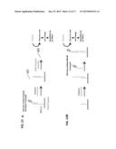 DETECTING ANALYTES WITH A PH METER diagram and image