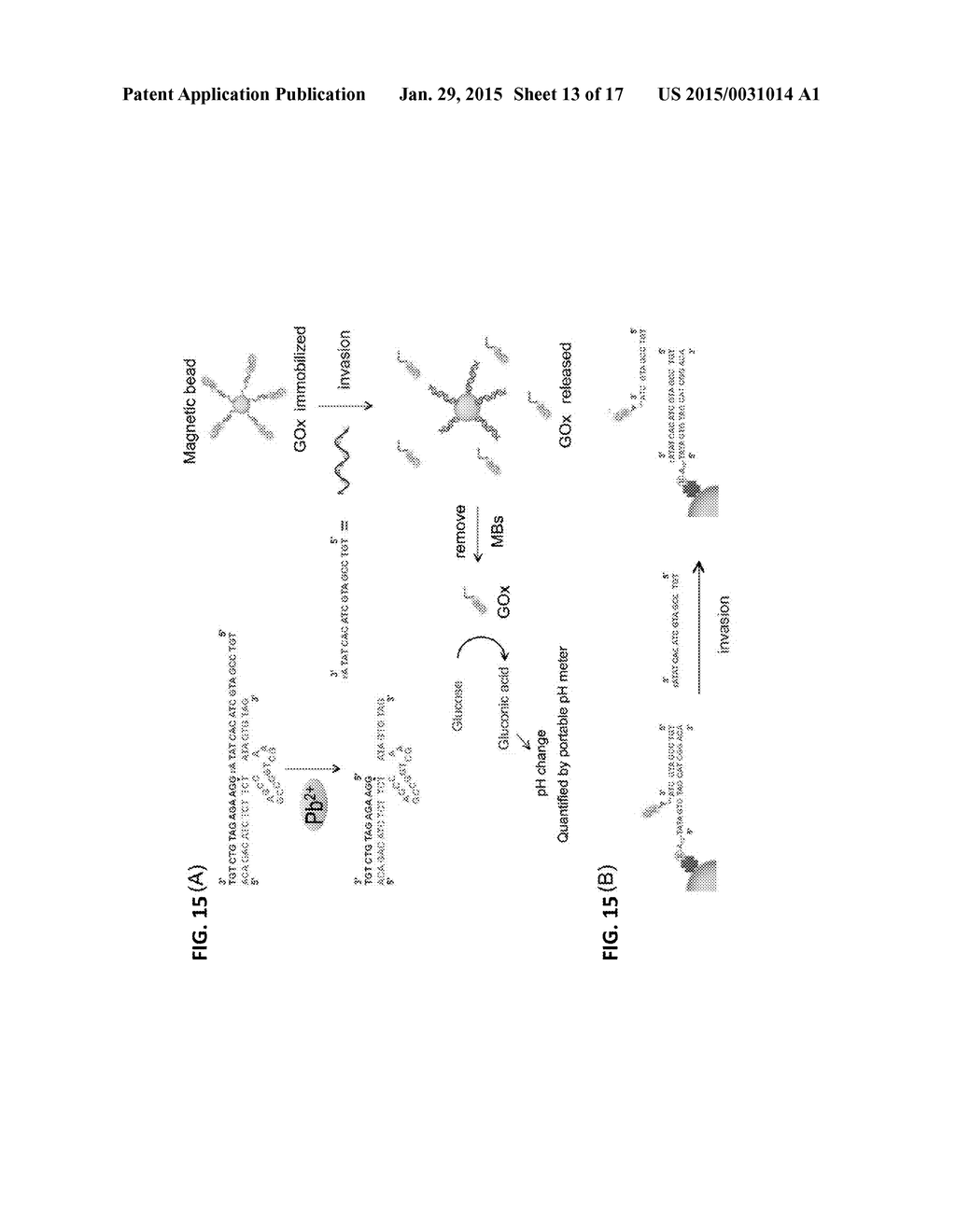 DETECTING ANALYTES WITH A PH METER - diagram, schematic, and image 14