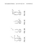 NUCLEIC ACID AMPLIFICATION REACTION APPARATUS AND NUCLEIC ACID AMPLIFYING     METHOD diagram and image