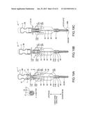 NUCLEIC ACID AMPLIFICATION REACTION APPARATUS AND NUCLEIC ACID AMPLIFYING     METHOD diagram and image