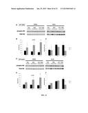 MARKERS FOR DIAGNOSING AMYOTROPHIC LATERAL SCLEROSIS diagram and image