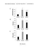 MARKERS FOR DIAGNOSING AMYOTROPHIC LATERAL SCLEROSIS diagram and image