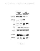 MARKERS FOR DIAGNOSING AMYOTROPHIC LATERAL SCLEROSIS diagram and image