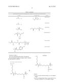 Bioanalytical Reagent used in Heterogeneous Phase and Usage Method Thereof diagram and image