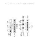 Method of Screening Therapeutic Agent for Treating Inflammatory Diseases diagram and image