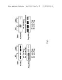 Method of Screening Therapeutic Agent for Treating Inflammatory Diseases diagram and image